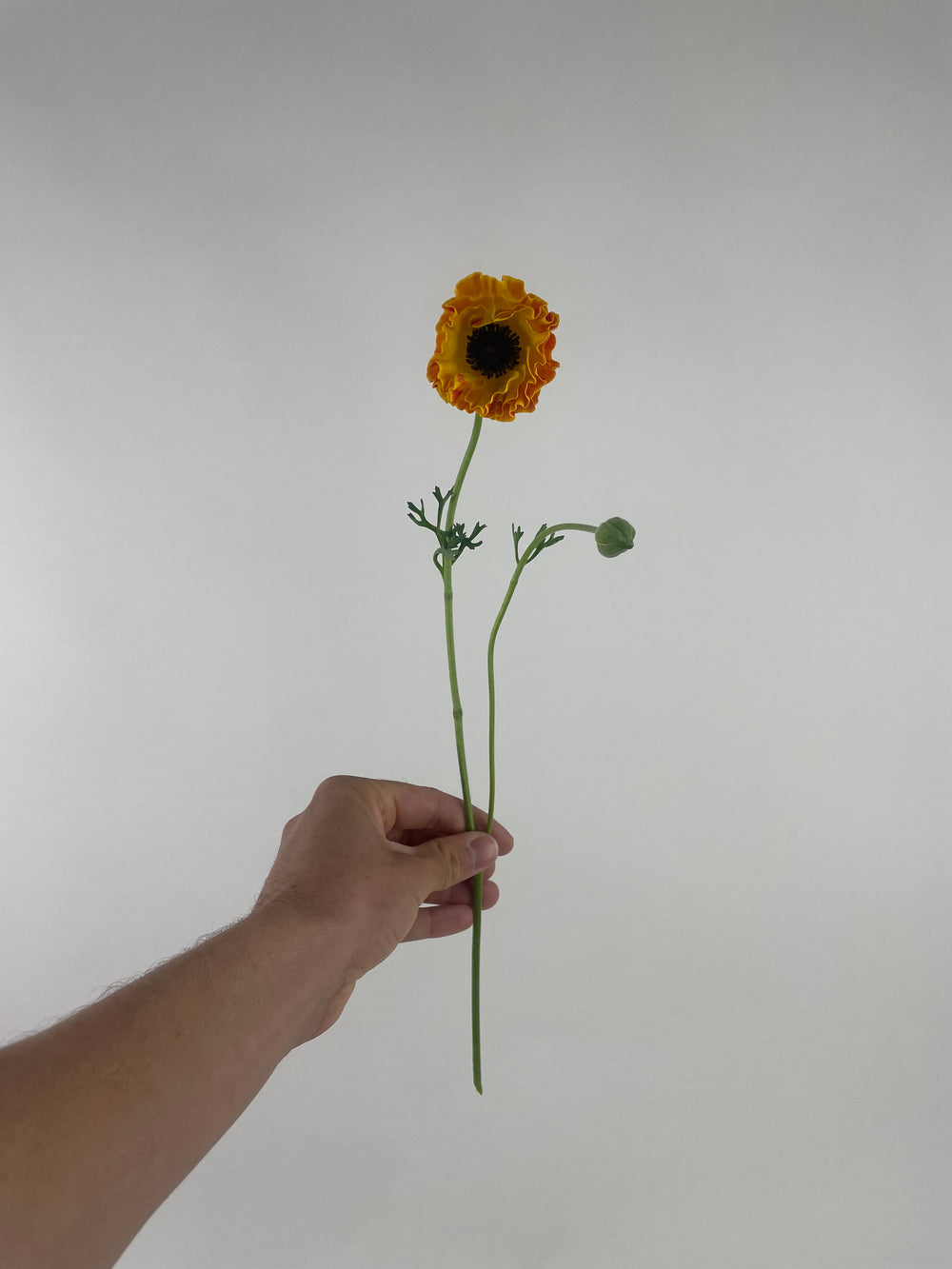 6x MONTHS BOUQUET SUBSCRIPTION PROGRAM