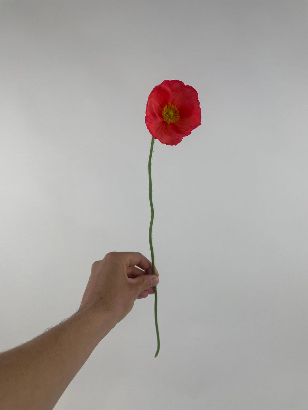 1x MONTH BOUQUET SUBSCRIPTION PROGRAM