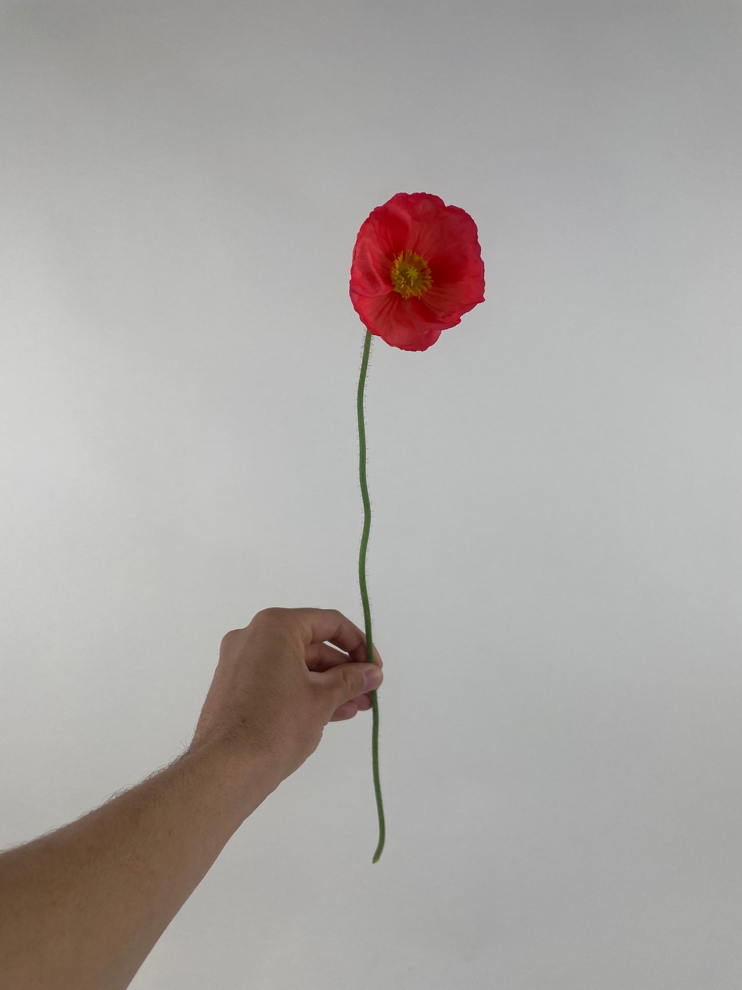 1x MONTH BOUQUET SUBSCRIPTION PROGRAM