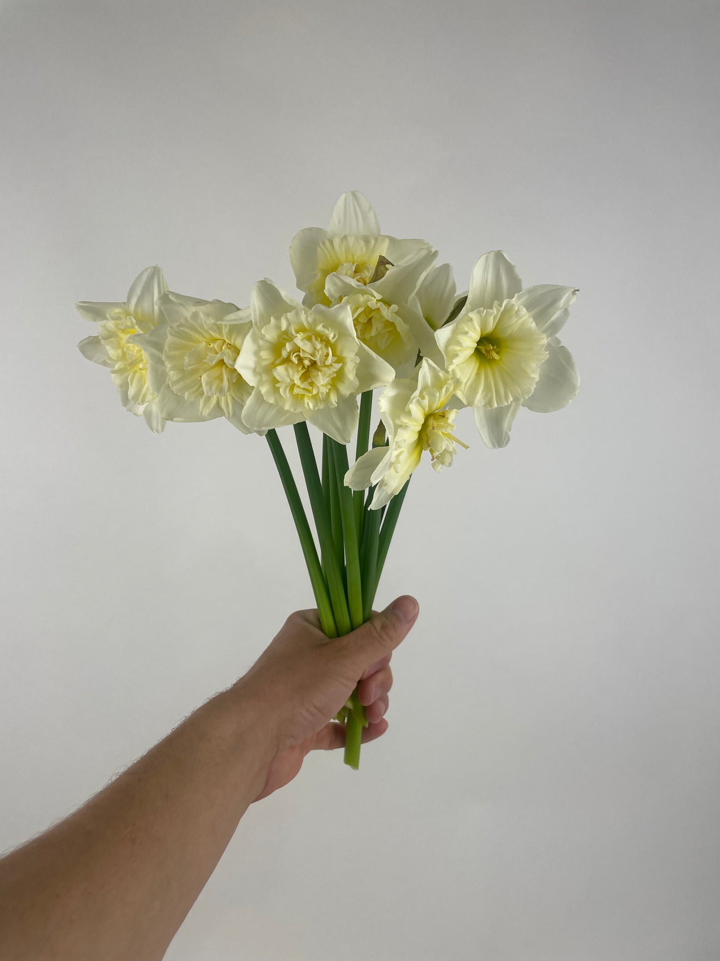 1x MONTH BOUQUET SUBSCRIPTION PROGRAM