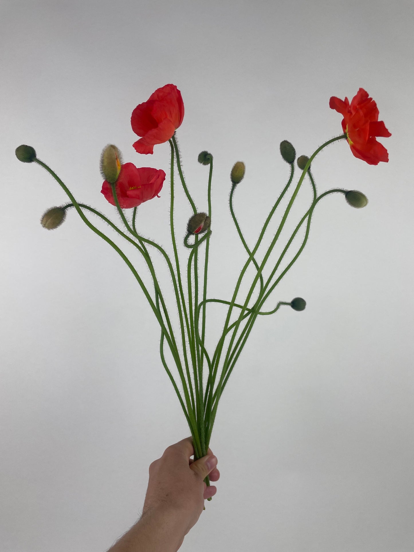 6x MONTHS BOUQUET SUBSCRIPTION PROGRAM