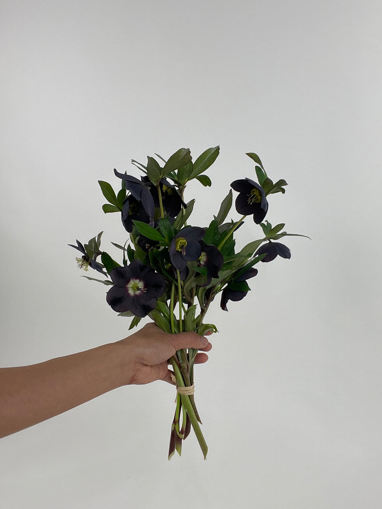 6x MONTHS BOUQUET SUBSCRIPTION PROGRAM