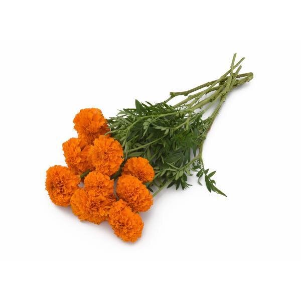 3X MONTH BOUQUET SUBSCRIPTION PROGRAM